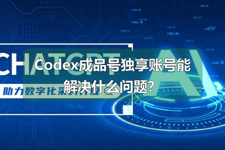 Codex成品号独享账号能解决什么问题?