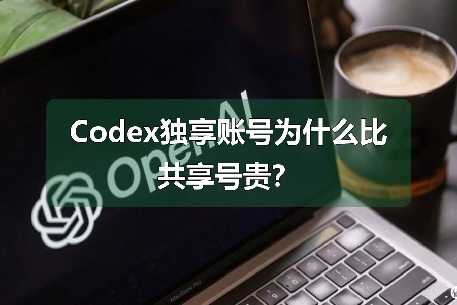 Codex独享账号为什么比共享号贵?